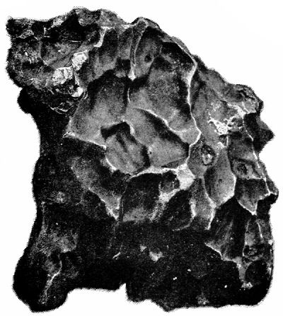 Fig. 95.